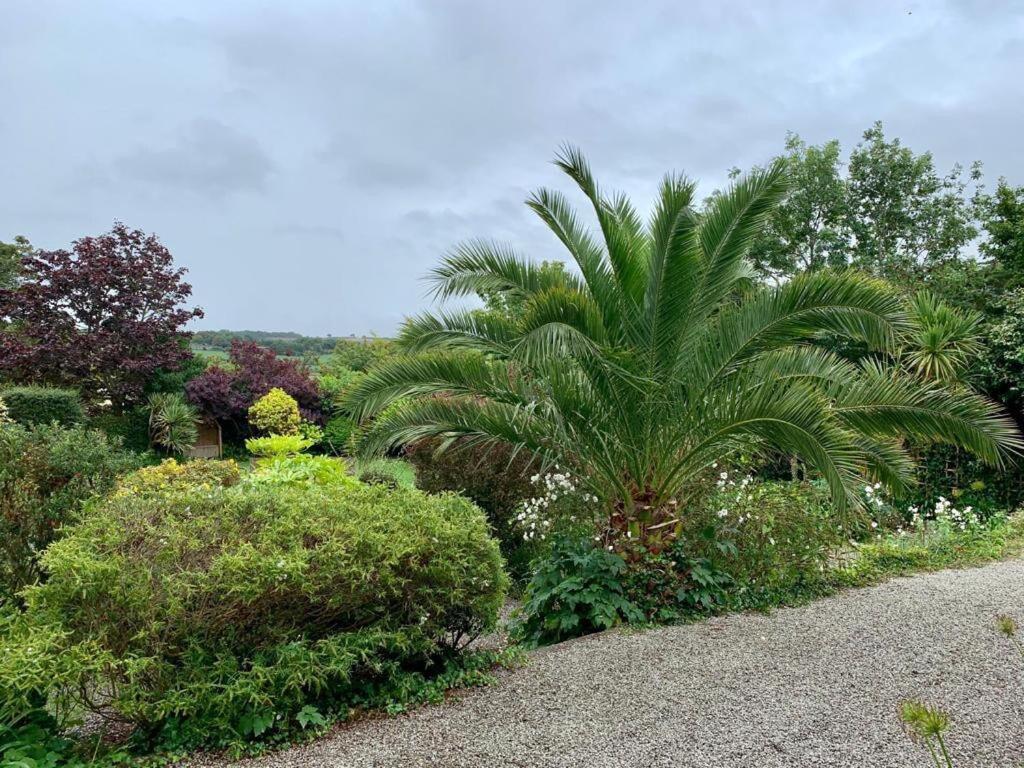 Penquite Holiday Accommodation Uny Lelant エクステリア 写真